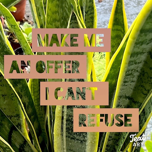 REASONABLE OFFERS👍 - Picture 12 of 13